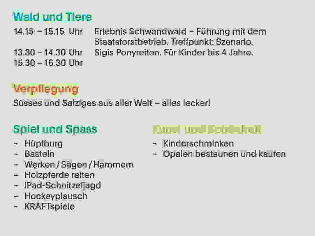 flyer_ruckseite_querformat.jpg