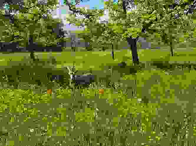 schwand-areal_wbs_geiss.jpg