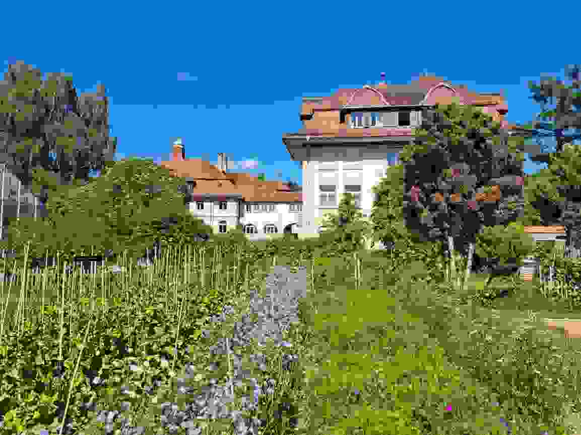 schwand_munsingen_ansicht_von_strasse.jpg